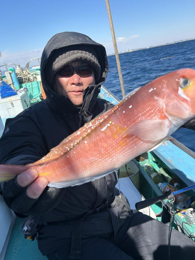 アマダイ(アカアマダイ)