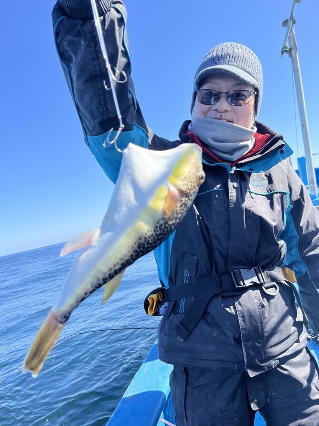 ショウサイフグ