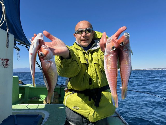 アマダイ(アカアマダイ)