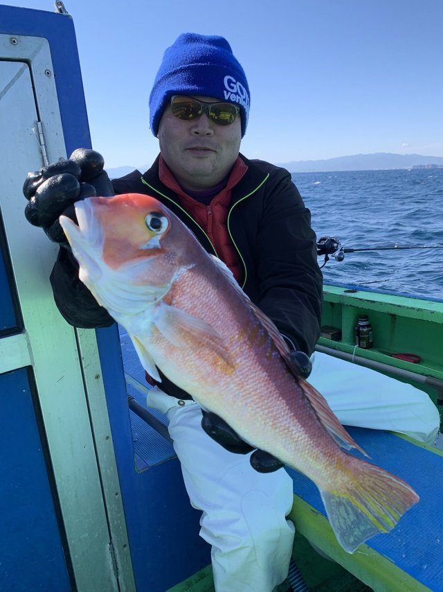 アマダイ(アカアマダイ)