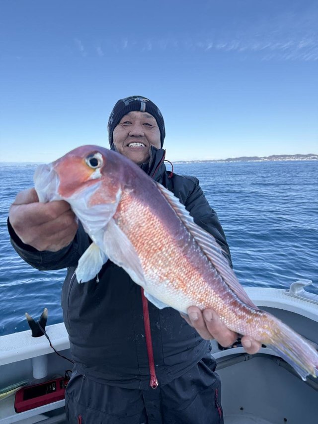 アマダイ(アカアマダイ)