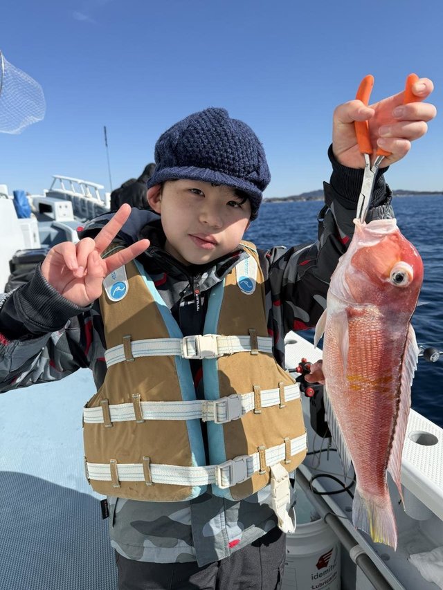 アマダイ(アカアマダイ)