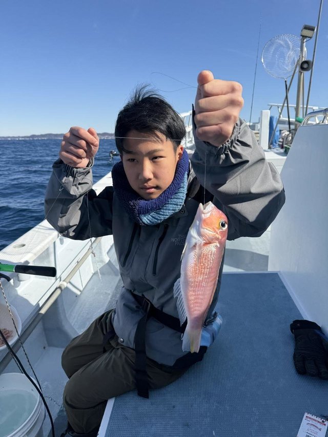 アマダイ(アカアマダイ)