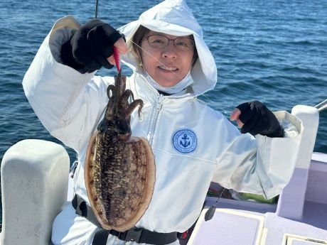 スミイカ(コウイカ)