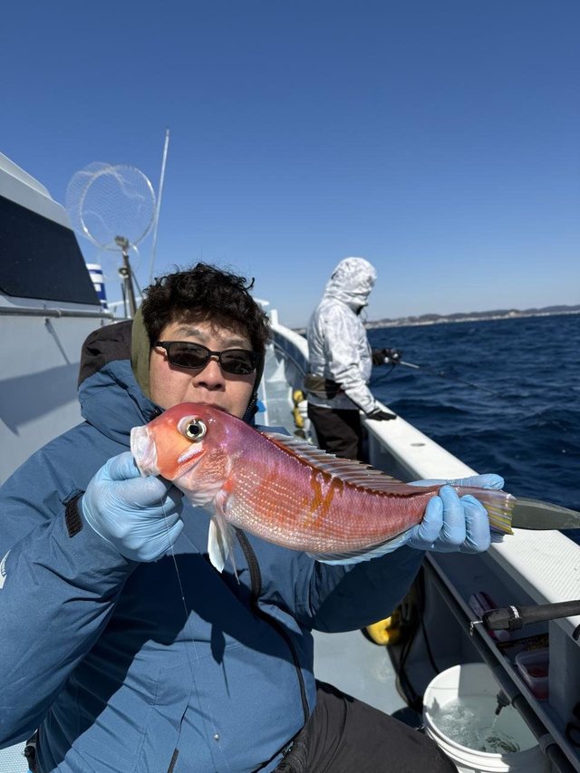 アマダイ(アカアマダイ)