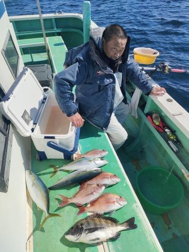 マダイ・クロダイ・イナダ(ブリ)