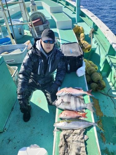 マダイ・イシダイ・イナダ(ブリ)