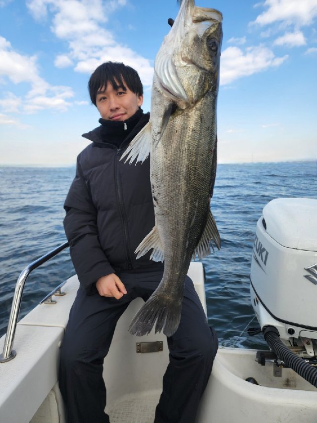 シーバス(スズキ)