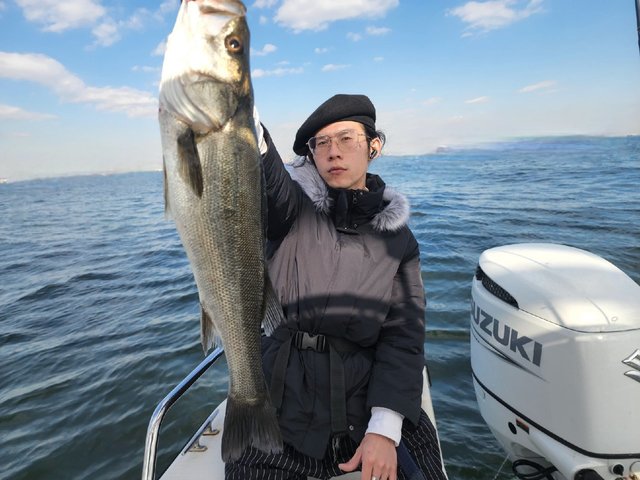 シーバス(スズキ)