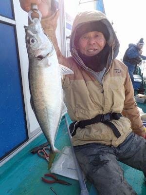 ヒラアジ(マアジ)