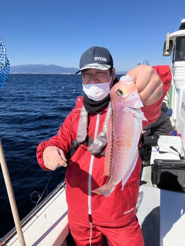 アマダイ(アカアマダイ)