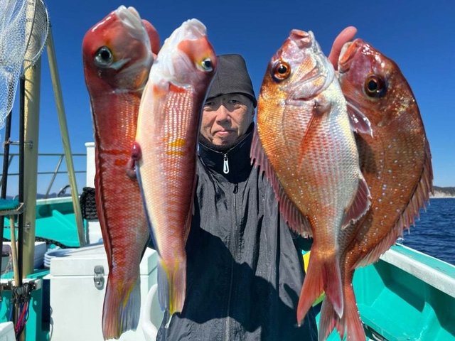マダイ・アマダイ(アカアマダイ)