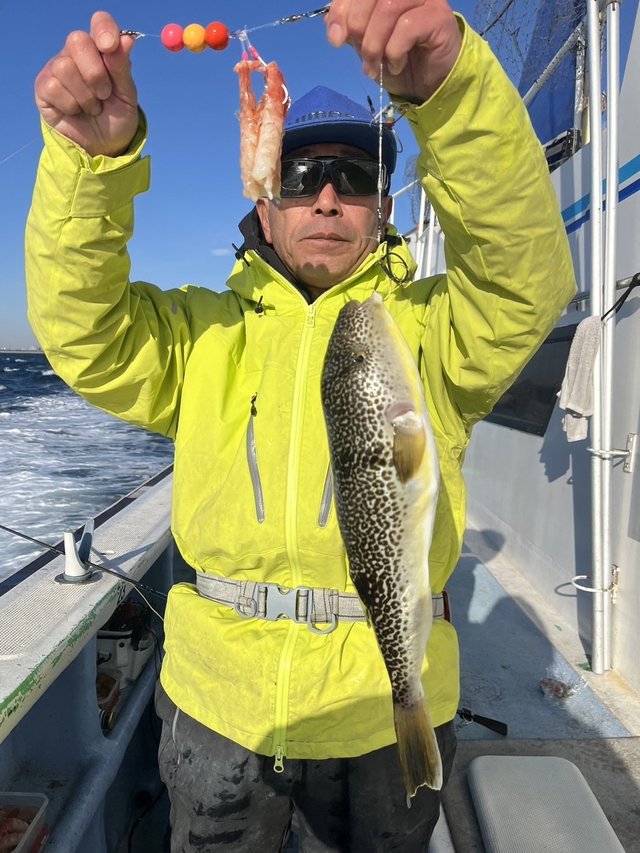 ショウサイフグ