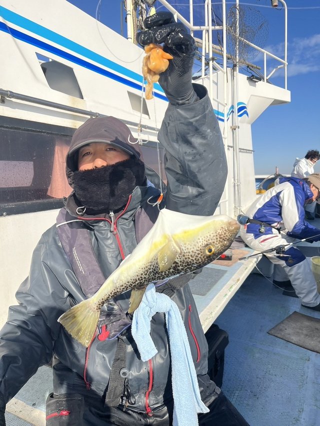 ショウサイフグ