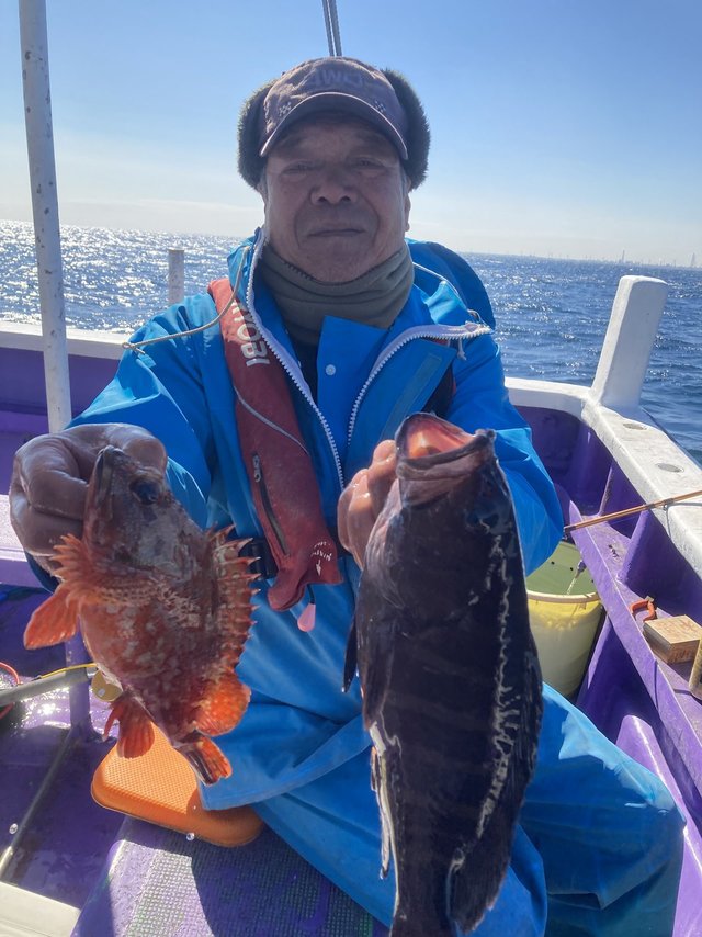 カサゴ・ハタ(マハタ)