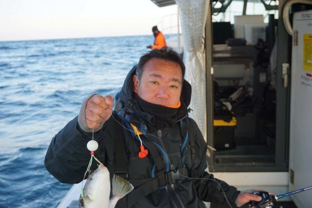 ショウサイフグ