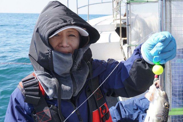 ショウサイフグ