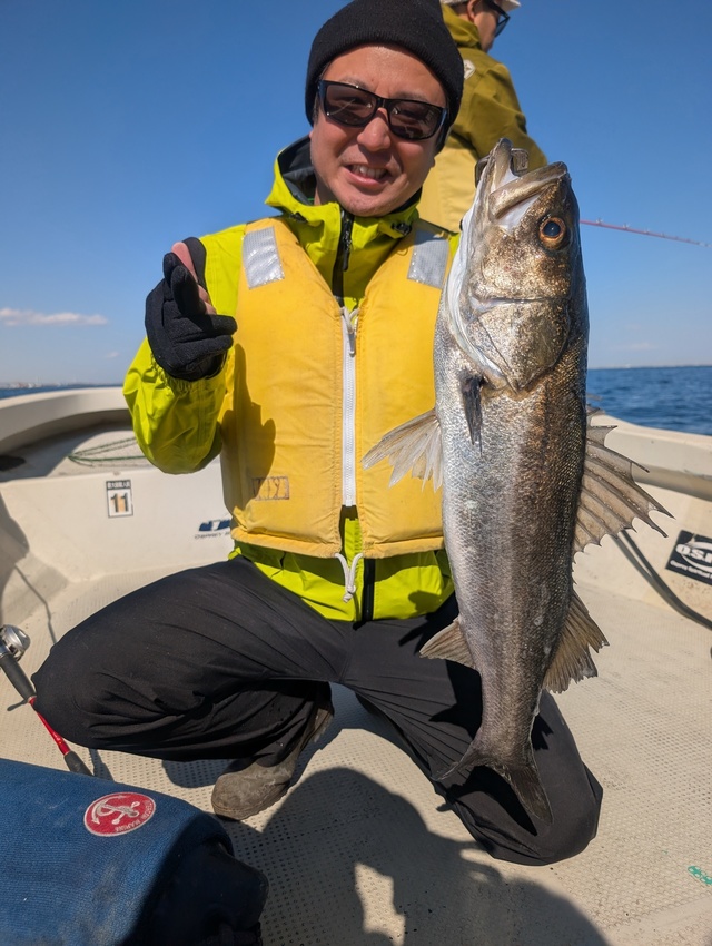 シーバス(スズキ)