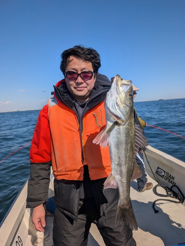 シーバス(スズキ)