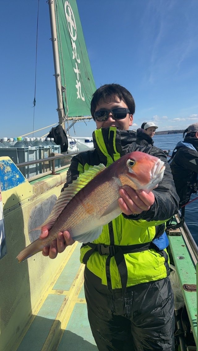 アマダイ(アカアマダイ)