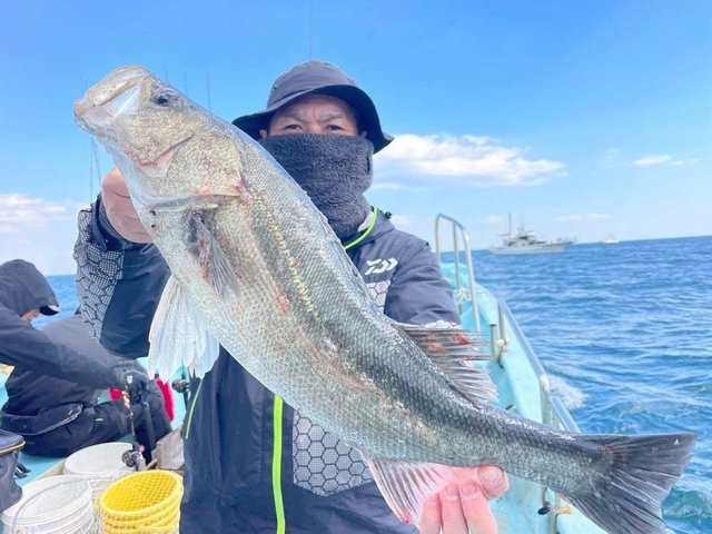 シーバス(スズキ)