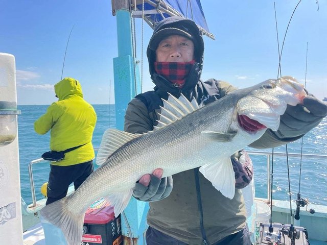 シーバス(スズキ)