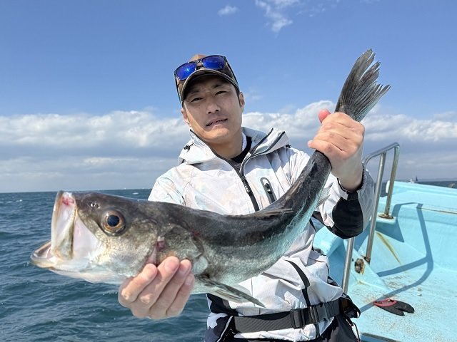 シーバス(スズキ)