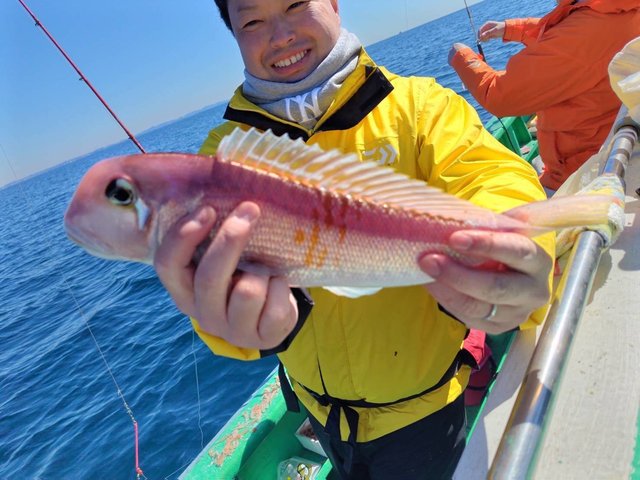 アマダイ(アカアマダイ)