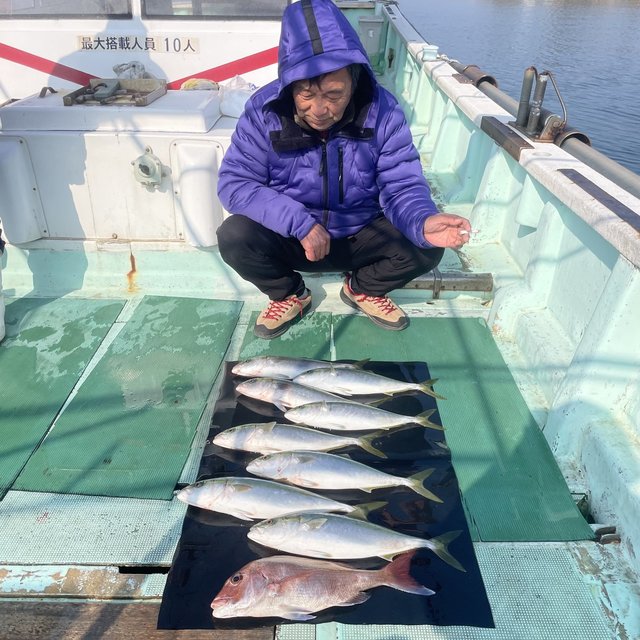 マダイ・ハマチ(ブリ)