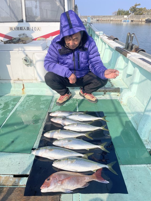 マダイ・ハマチ(ブリ)