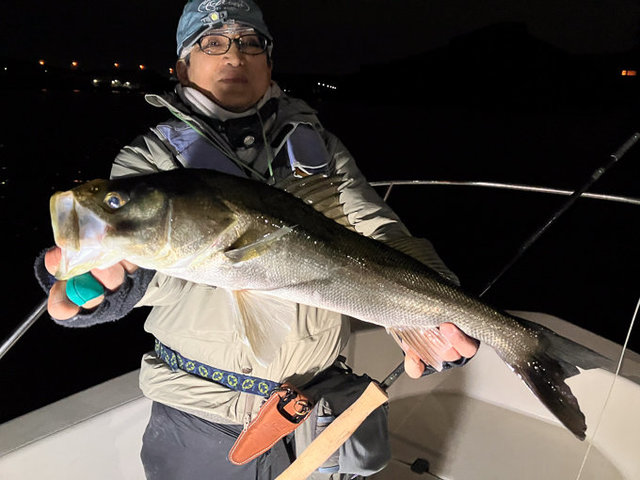 シーバス(スズキ)