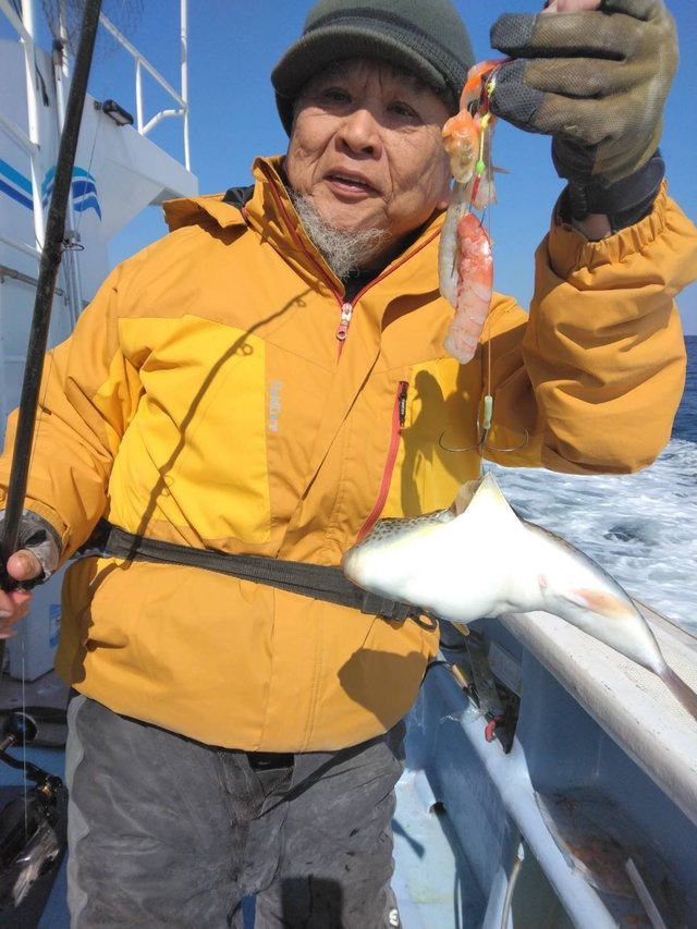 ショウサイフグ