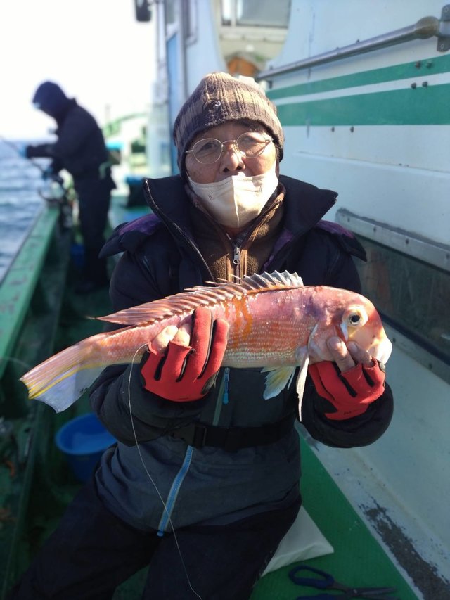 アマダイ(アカアマダイ)