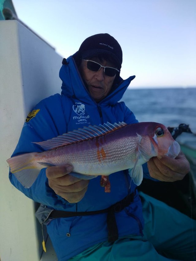 アマダイ(アカアマダイ)