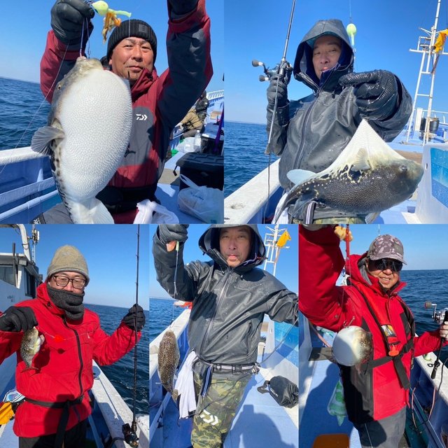 ショウサイフグ