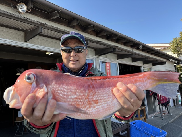 アマダイ(アカアマダイ)