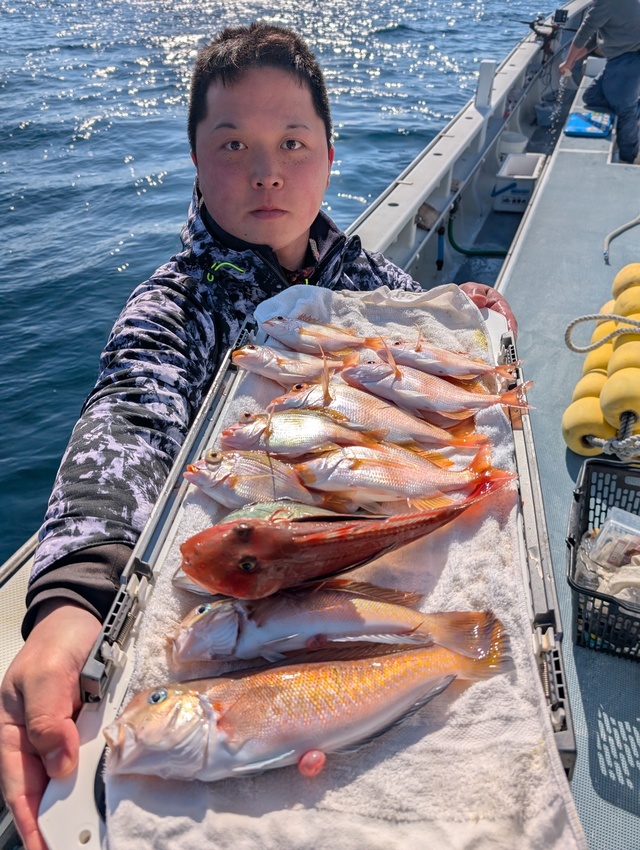 アマダイ(アカアマダイ)