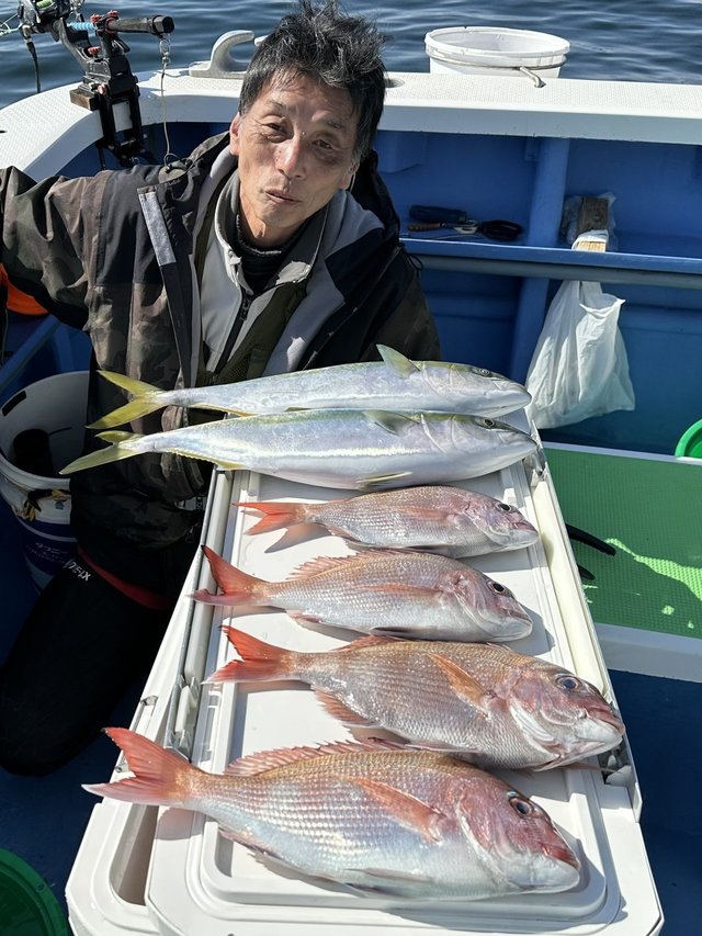 マダイ・ワラサ(ブリ)