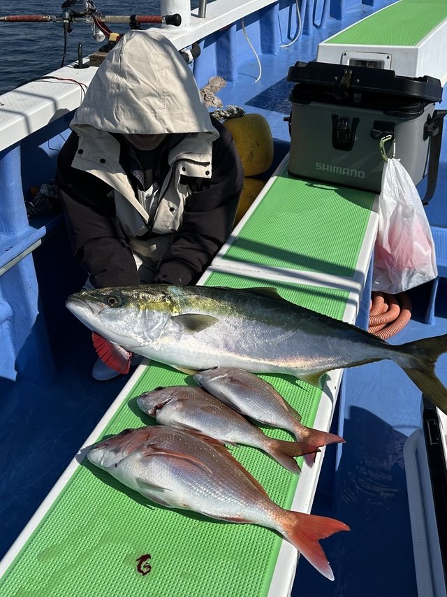 マダイ・ワラサ(ブリ)