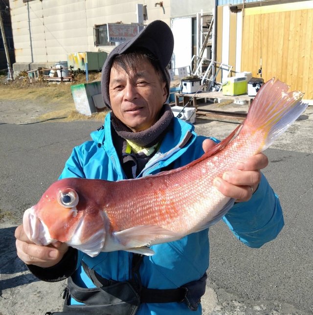 アマダイ(アカアマダイ)