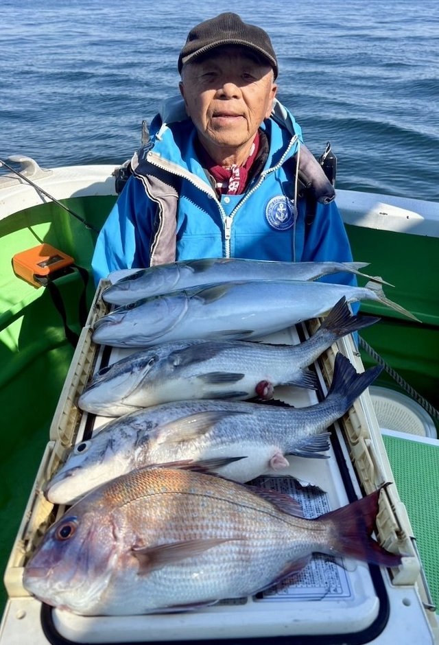 マダイ・クロダイ・イナダ(ブリ)
