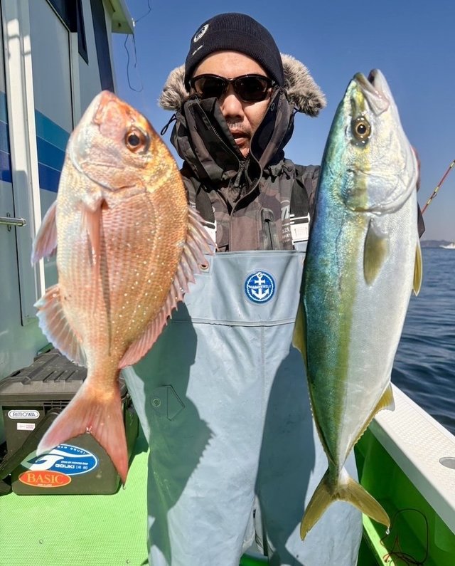 マダイ・イナダ(ブリ)