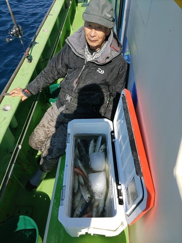 アジ(マアジ)・サバ(マサバ)