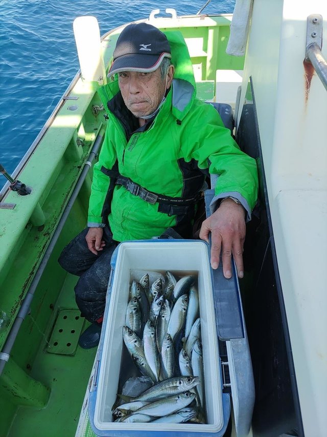 アジ(マアジ)・サバ(マサバ)