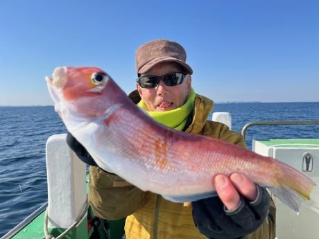 アマダイ(アカアマダイ)