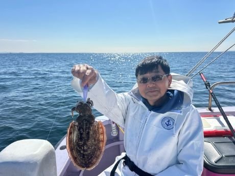 スミイカ(コウイカ)