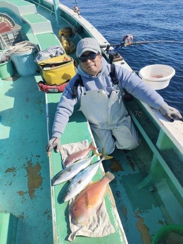 マダイ・イナダ(ブリ)・イラ