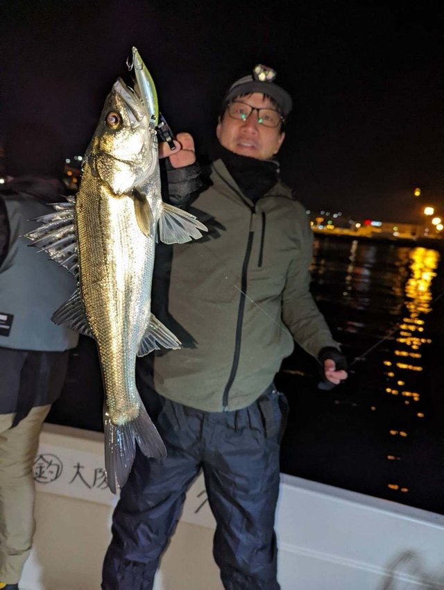 シーバス(スズキ)