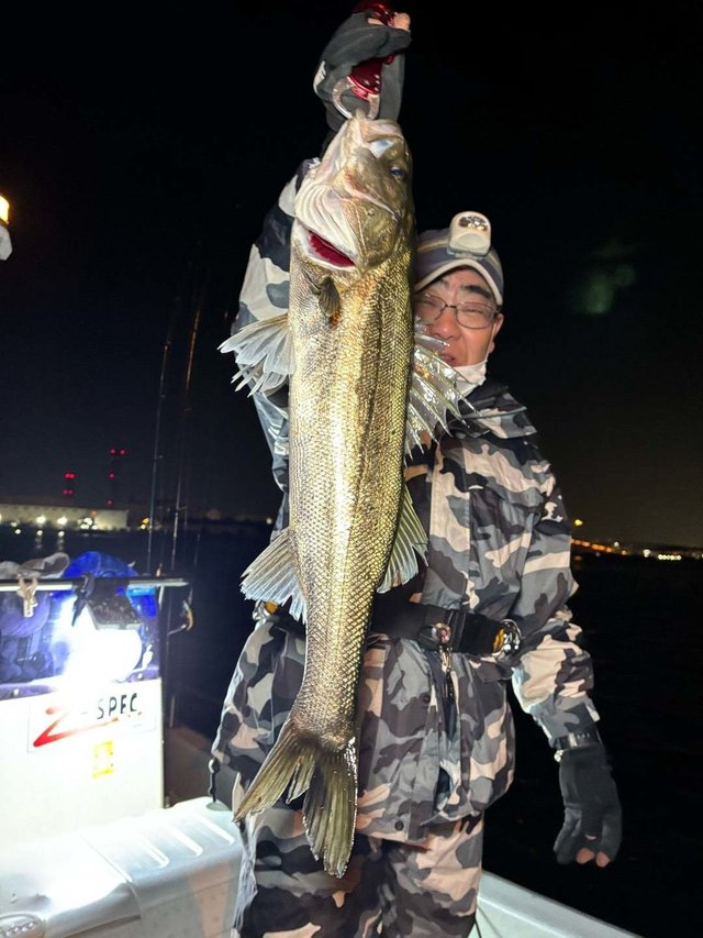 シーバス(スズキ)