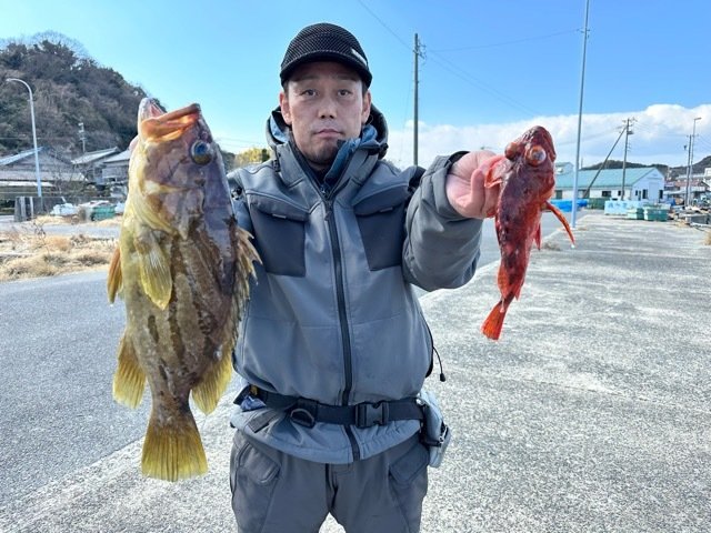 ホウキハタ・カサゴ